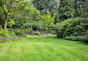 Optimiser l'expérience du jardin à La Roche-Posay